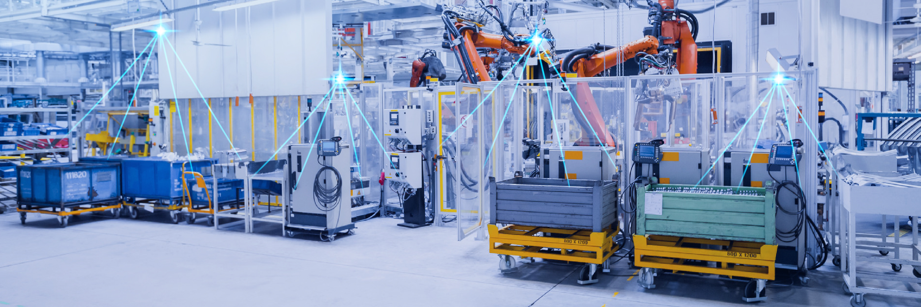 制造多分支组网目录